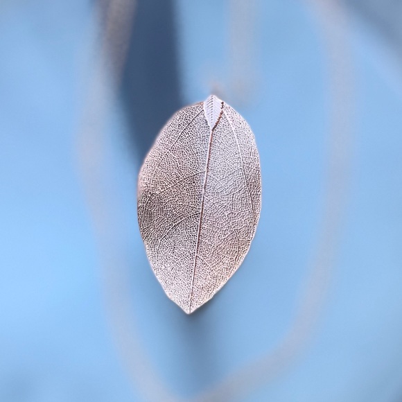 Rose Gold Dipped Laurel Leaf Necklace - Picture 3 of 8
